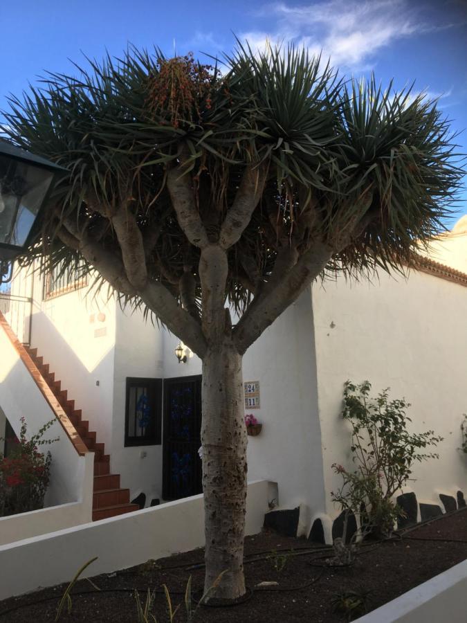 Tenerife 德尔锡伦西奥海岸 外观 照片